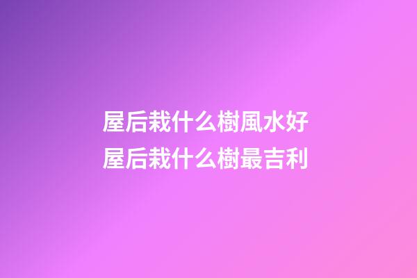 屋后栽什么樹風水好 屋后栽什么樹最吉利